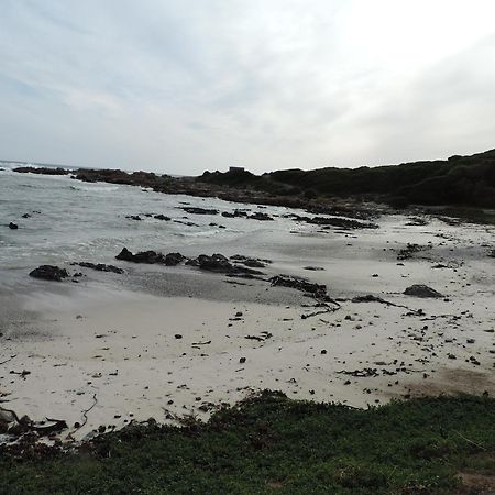 Wave Dancer Bed & Breakfast Gansbaai Exterior photo