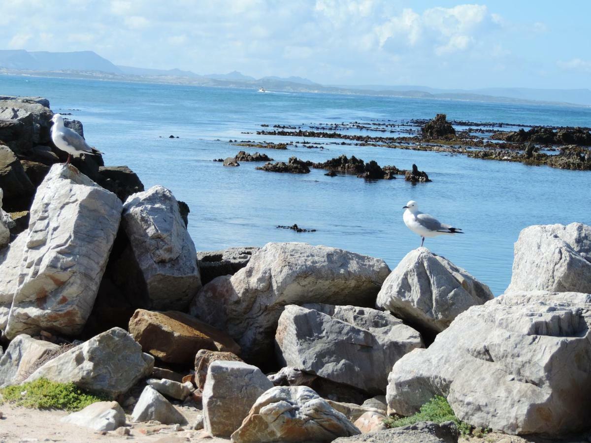 Wave Dancer Bed & Breakfast Gansbaai Exterior photo