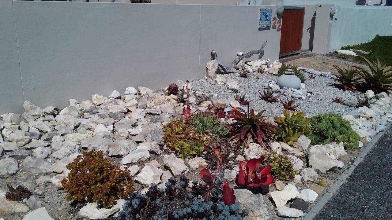 Wave Dancer Bed & Breakfast Gansbaai Exterior photo