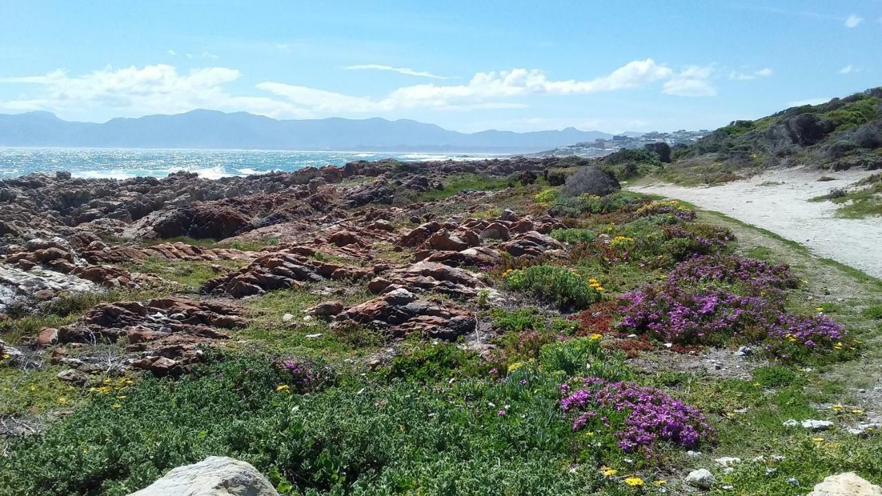 Wave Dancer Bed & Breakfast Gansbaai Exterior photo